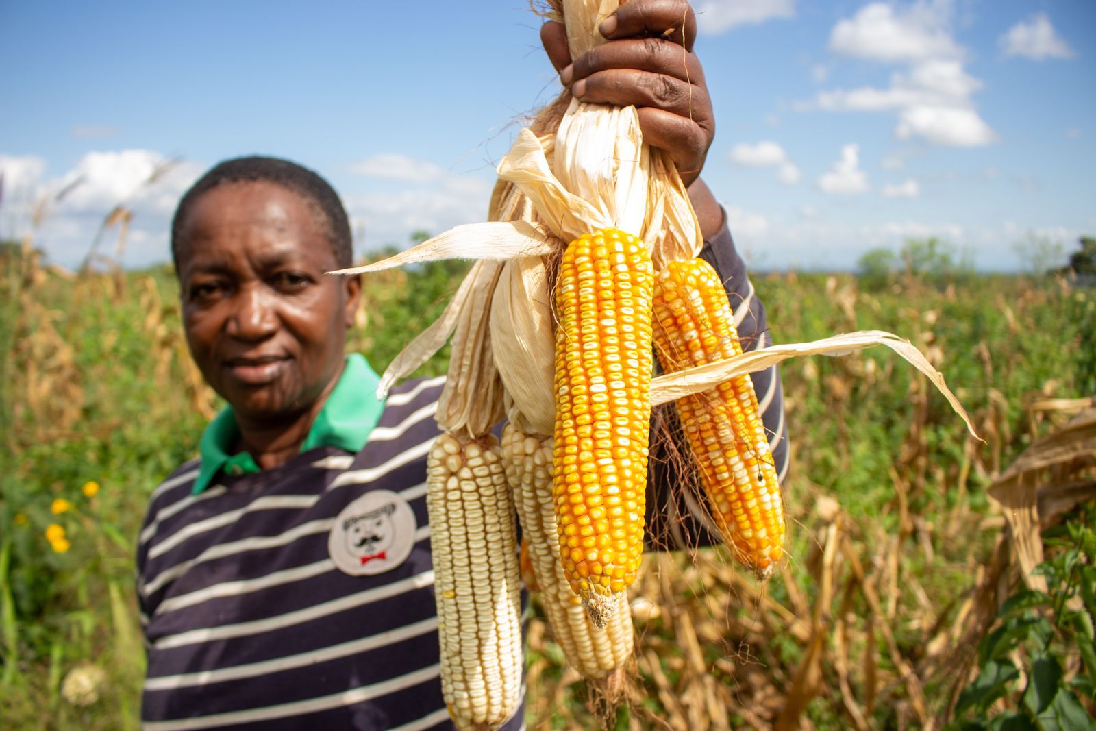 Seeds and tools for a farmer